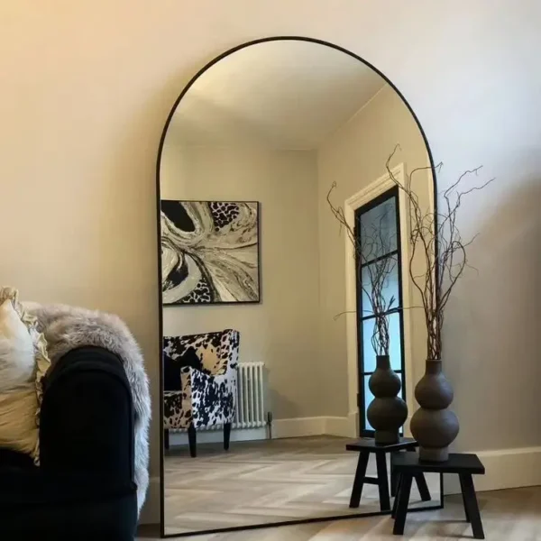 Dome Pro Mirror